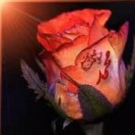 orhan