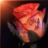 orhan