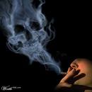 haylaz_rapci_ nickli yeye ait kullanc resmi (Avatar)